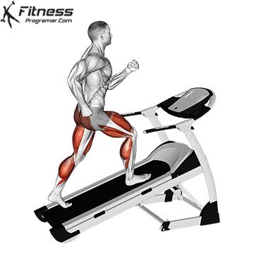 Tricep Pushdown